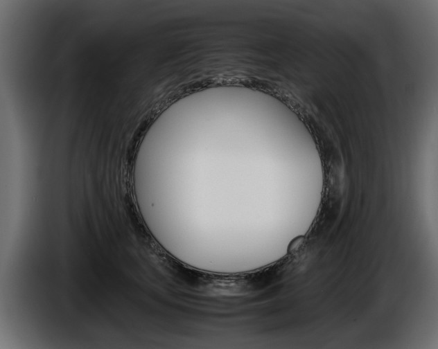 X0000086720659200704130729