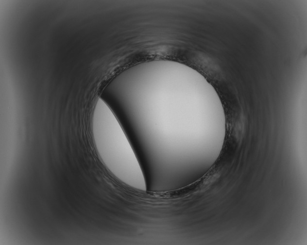 X0000086720660200704130729