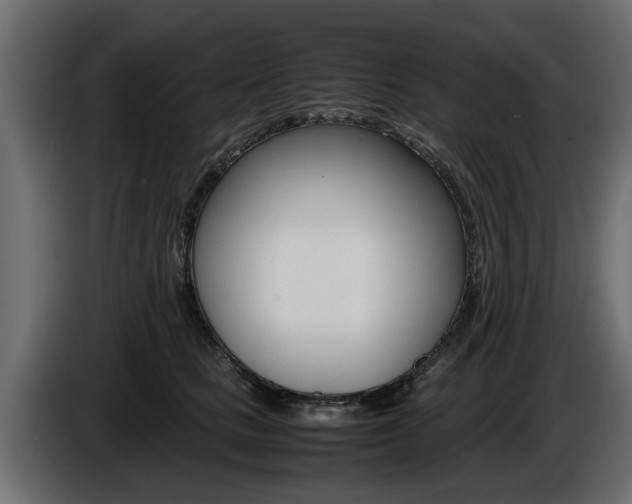 X0000086720661200704130729