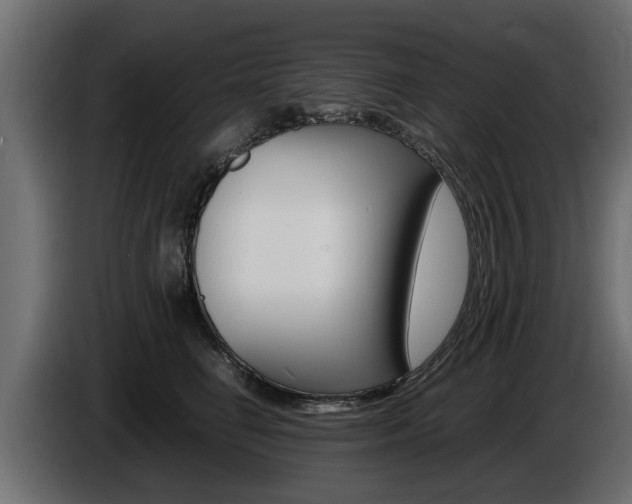 X0000086720662200704130729