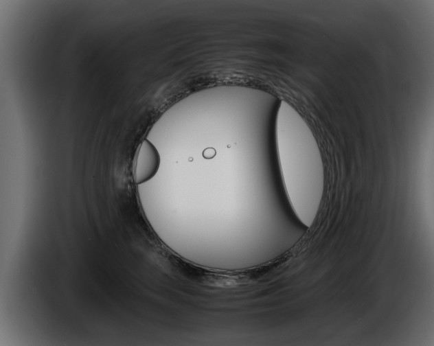 X0000086720663200704130729