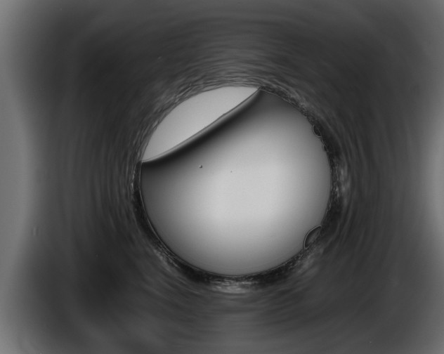 X0000086720664200704130729