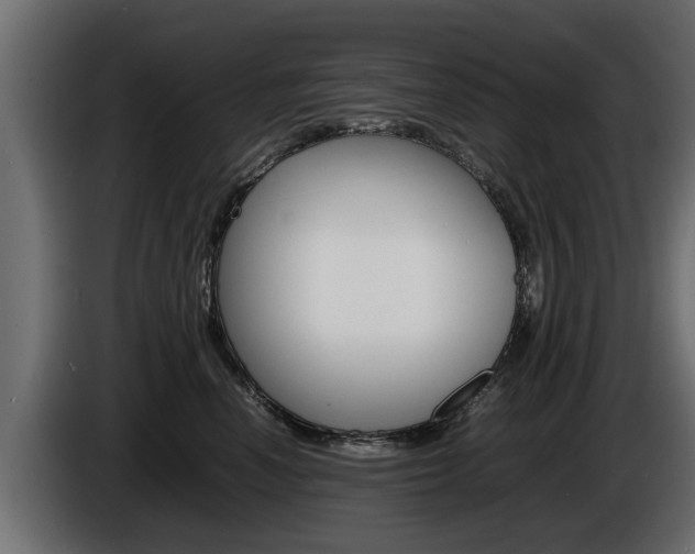 X0000086720666200704130729