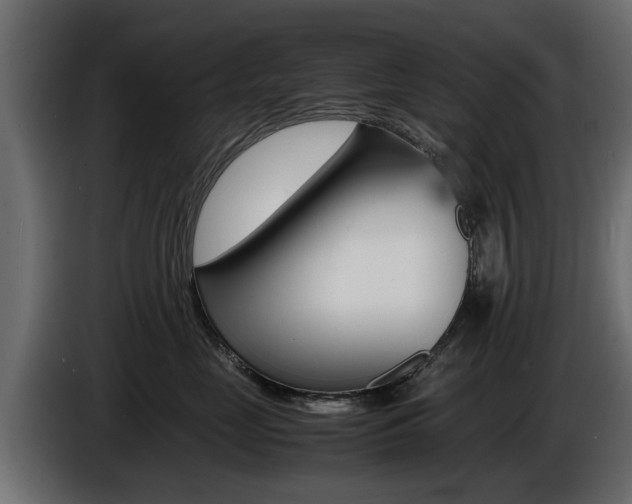 X0000086720669200704130729