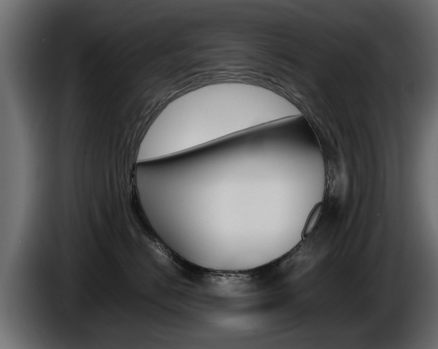 X0000086720670200704130729