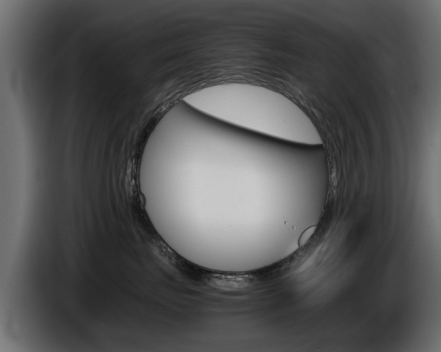 X0000086720671200704130729