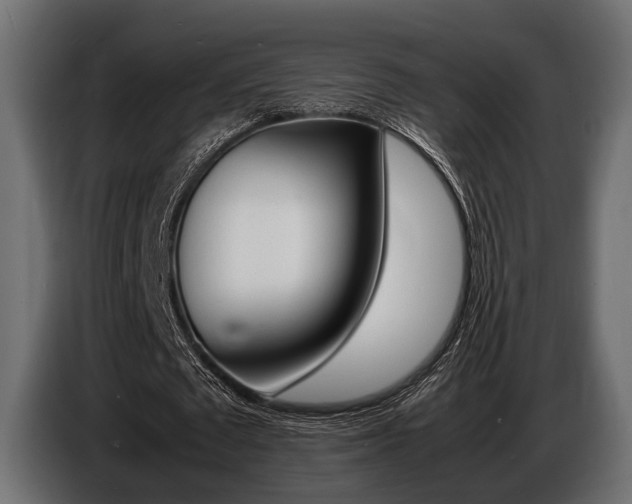 X0000086720673200704130728
