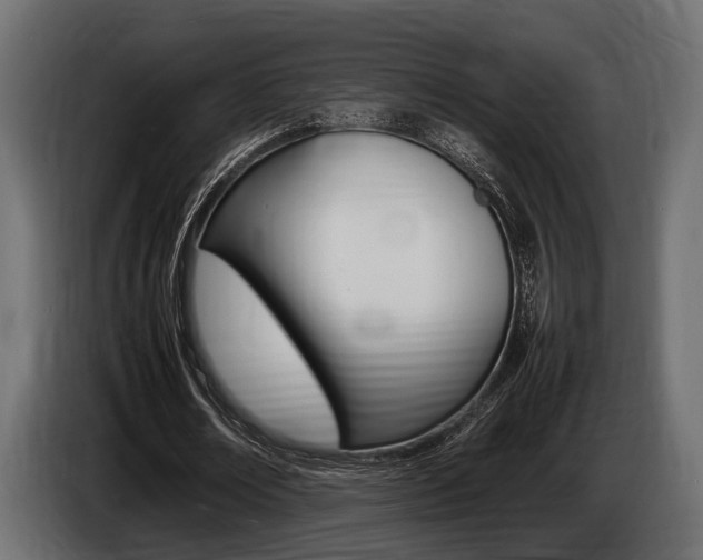 X0000086720674200704130728