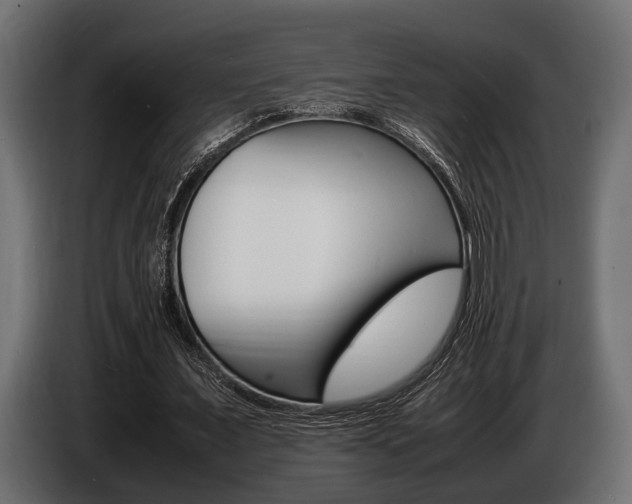 X0000086720675200704130728