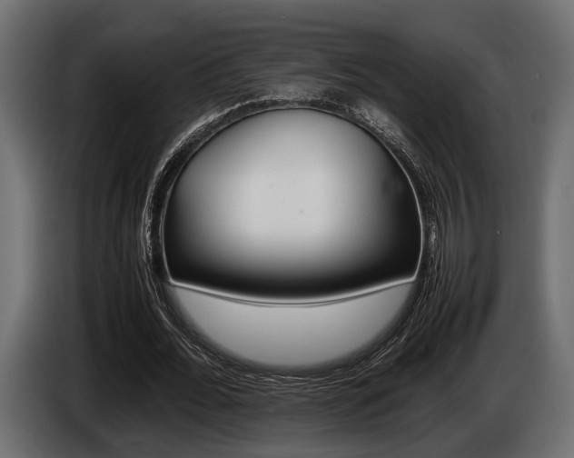 X0000086720676200704130728