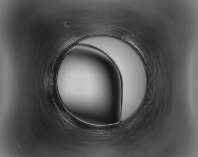 X0000086720677200704130728