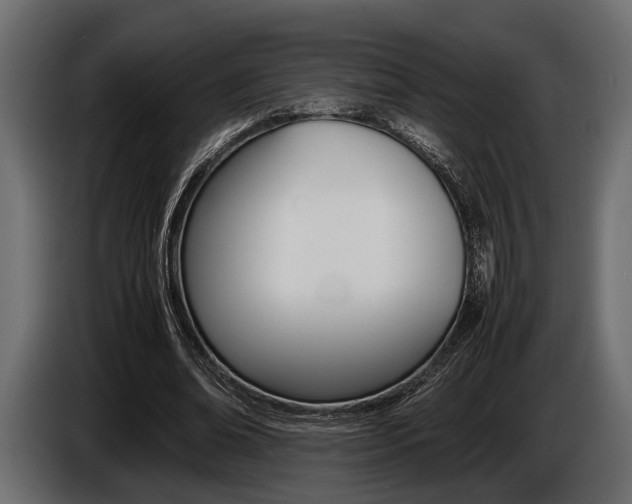 X0000086720678200704130728