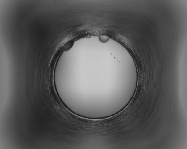 X0000086720679200704130728
