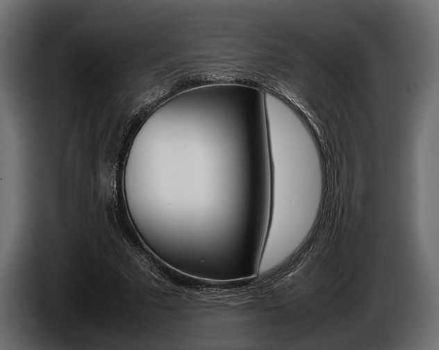 X0000086720681200704130728