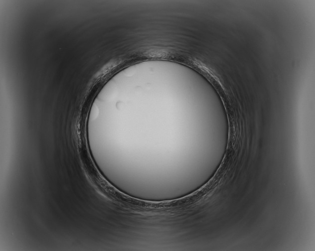 X0000086720682200704130728