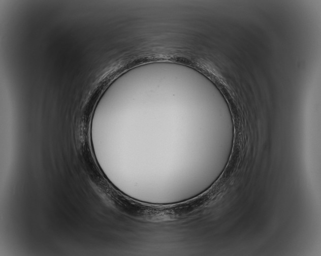 X0000086720683200704130728