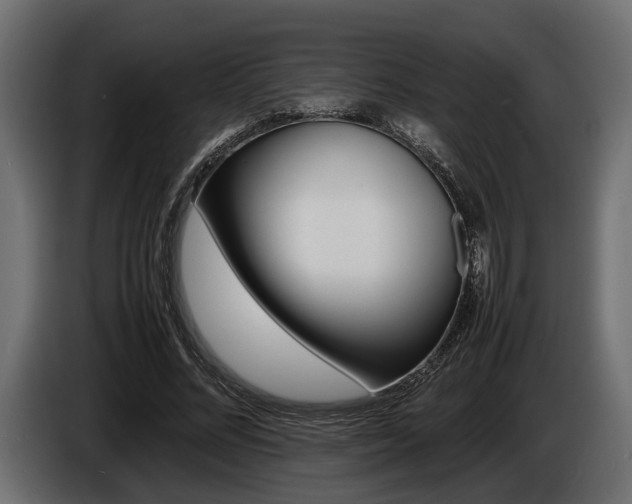 X0000086720684200704130728