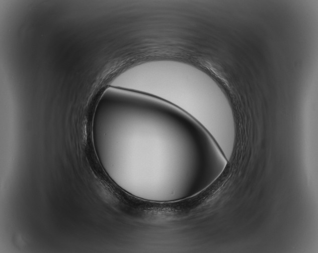 X0000086720685200704130728