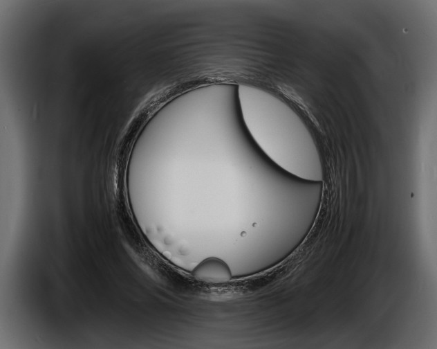 X0000086720686200704130728