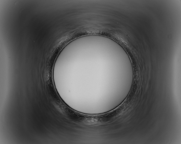 X0000086720687200704130728