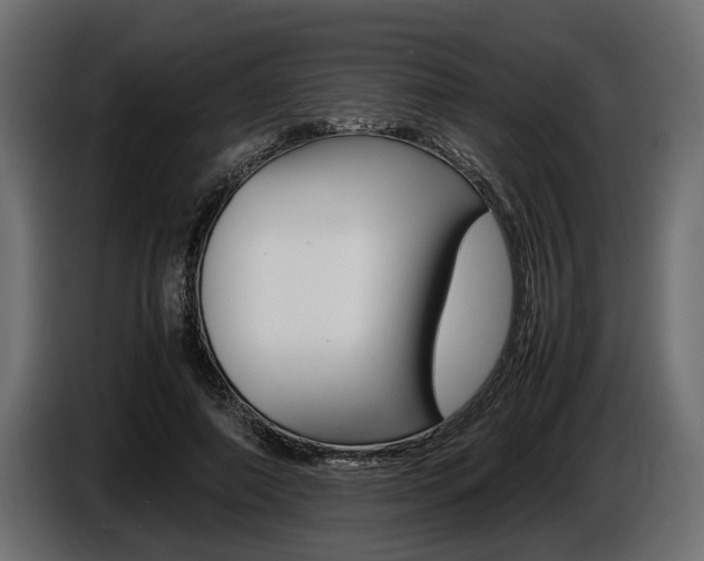 X0000086720690200704130728