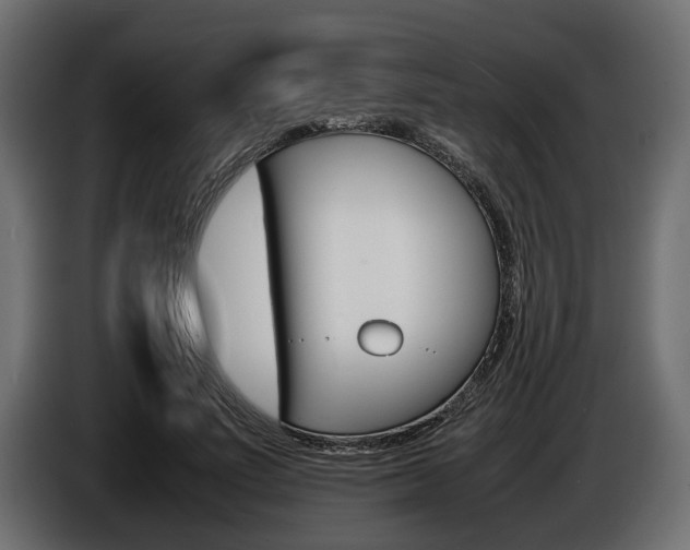 X0000086720691200704130728