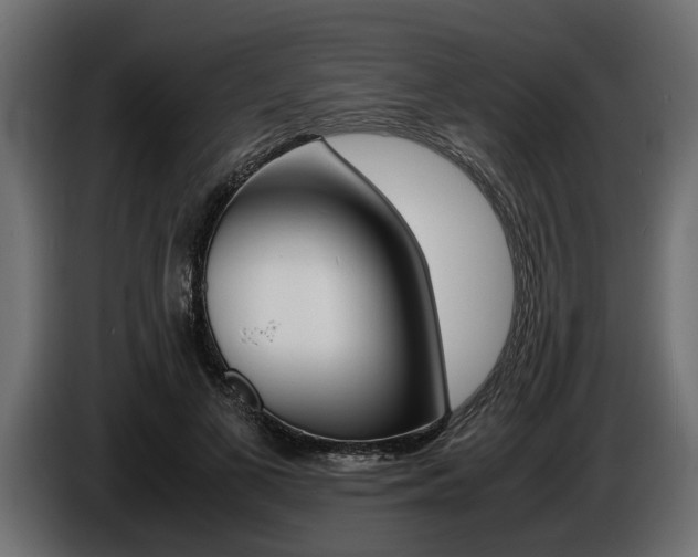 X0000086720693200704130728