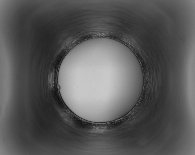 X0000086720694200704130728