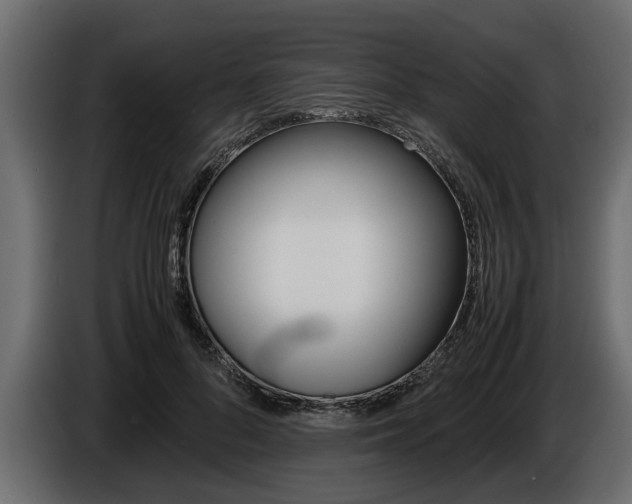 X0000086720696200704130728