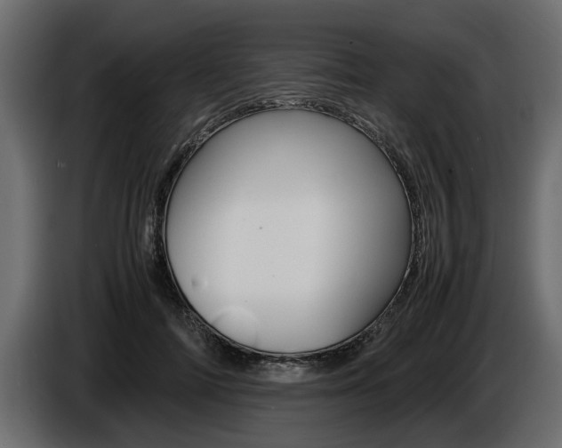 X0000086720698200704130728