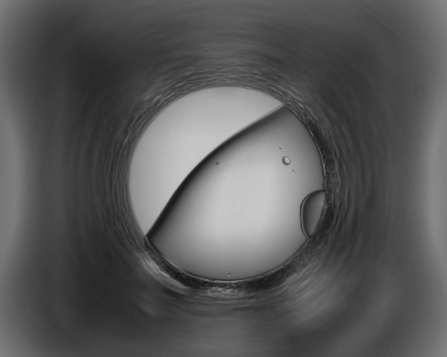 X0000086720699200704130728
