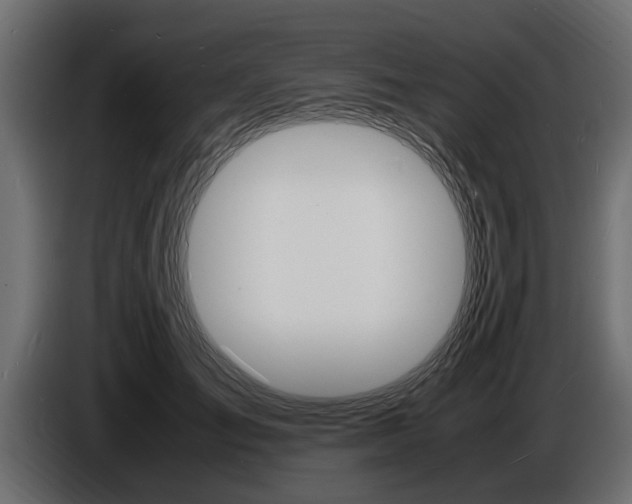 X0000086720701200704130728