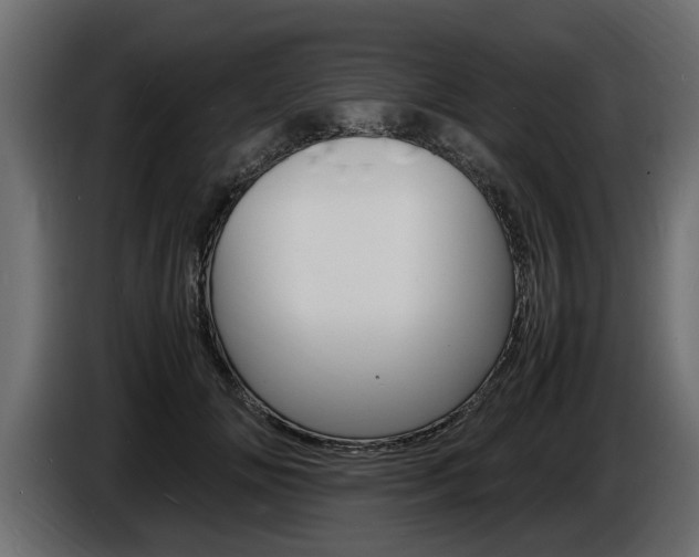 X0000086720702200704130728