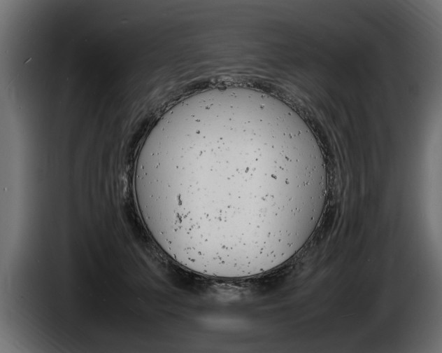 X0000086720703200704130728