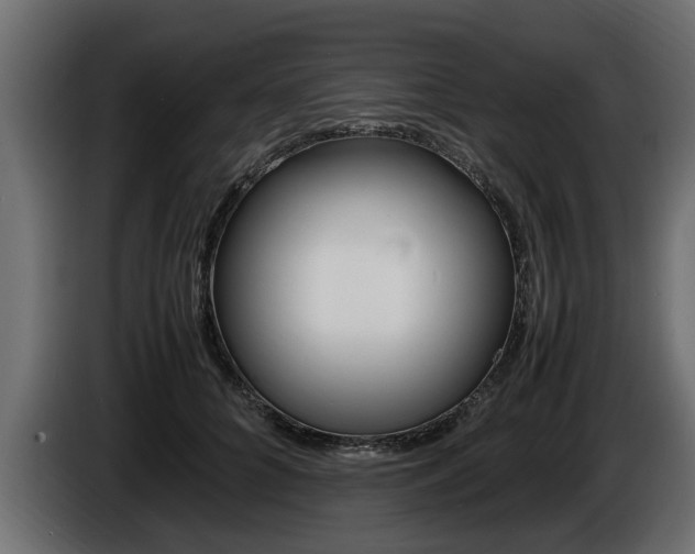 X0000086720704200704130728