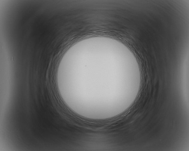 X0000086720705200704130728