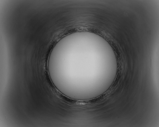 X0000086720706200704130728