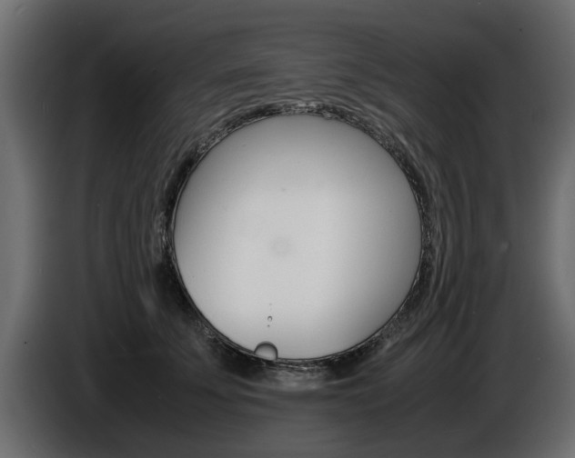 X0000086720707200704130728