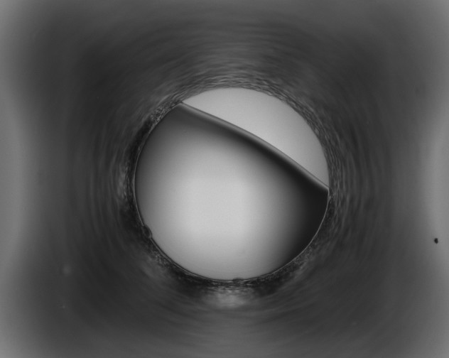 X0000086720708200704130728