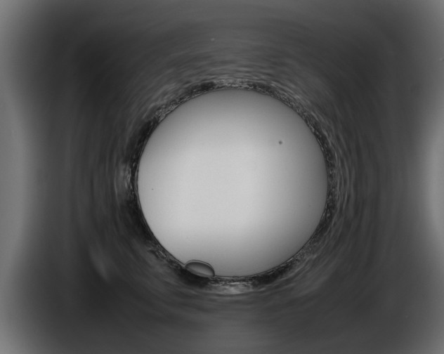 X0000086720711200704130728