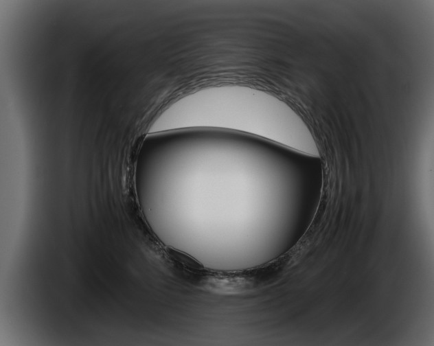 X0000086720712200704130728
