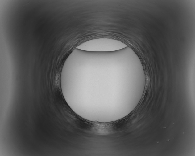X0000086720713200704130728