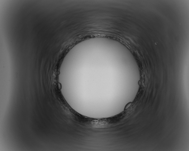 X0000086720714200704130728