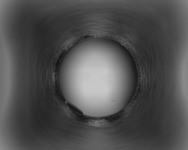 X0000086720716200704130728
