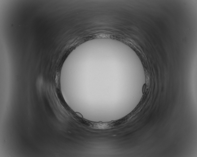 X0000086720717200704130728