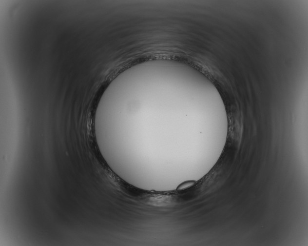 X0000086720718200704130728