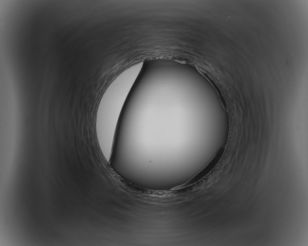 X0000086720720200704130728