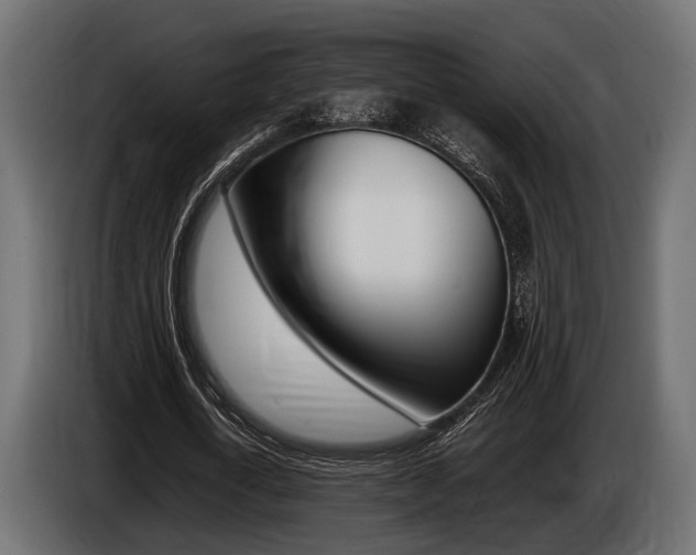 X0000086720722200704130727