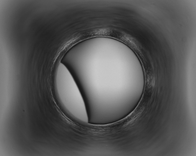 X0000086720725200704130727