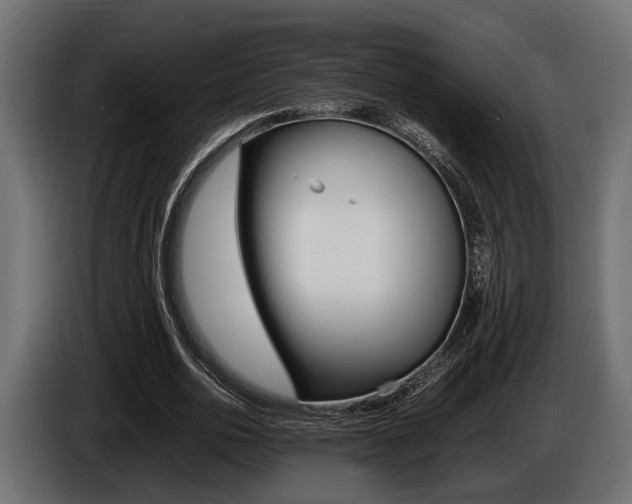 X0000086720726200704130727